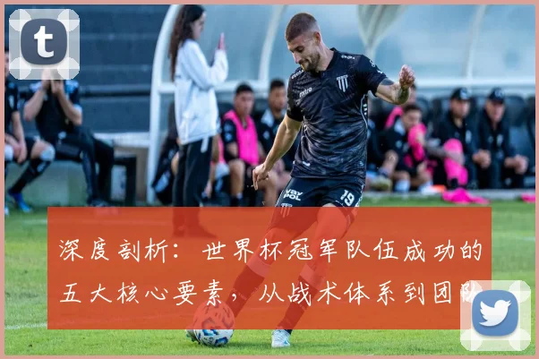 深度剖析：世界杯冠军队伍成功的五大核心要素，从战术体系到团队精神
